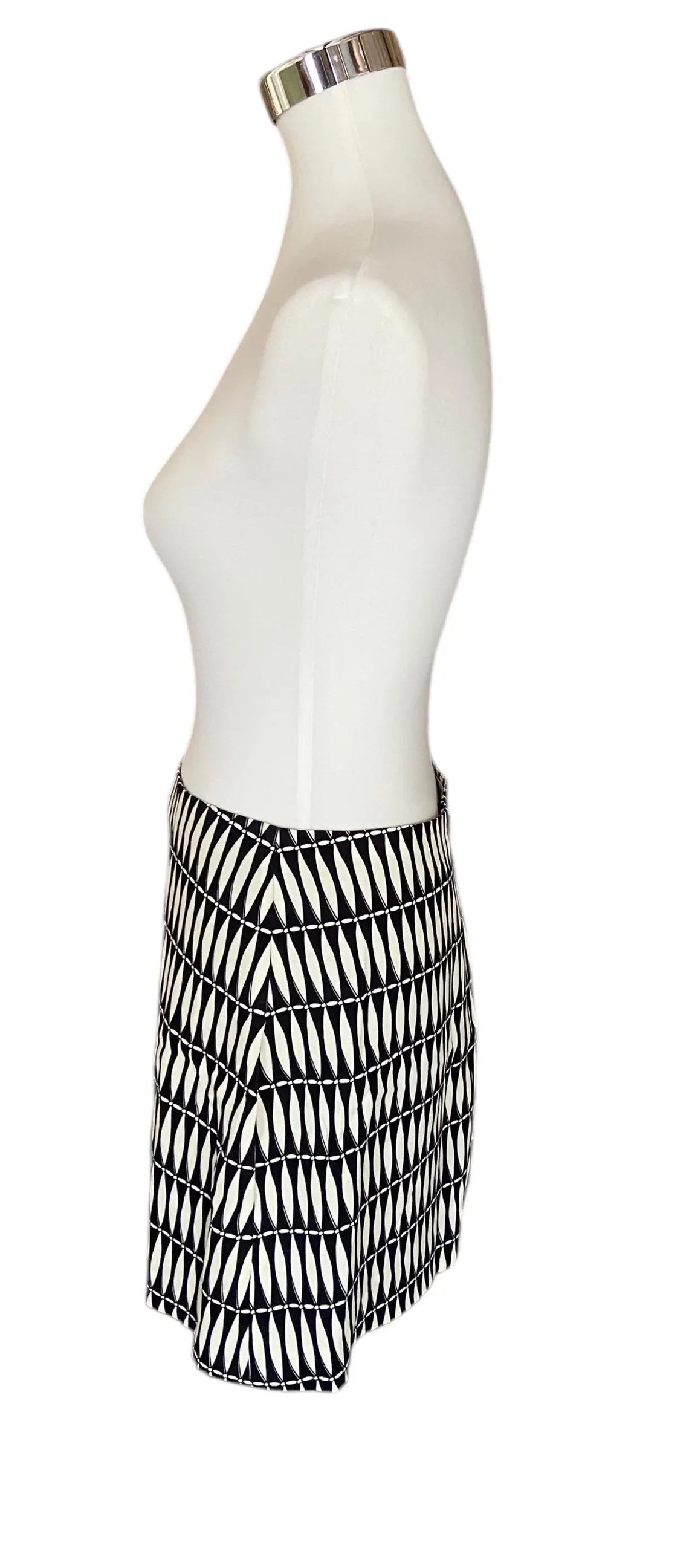 Lanvin skirt