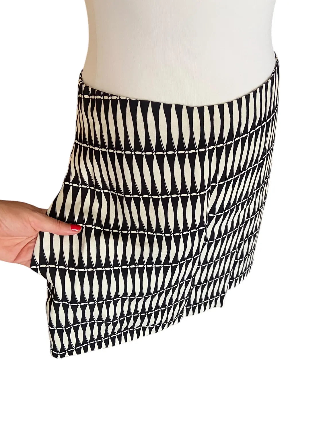 Lanvin skirt