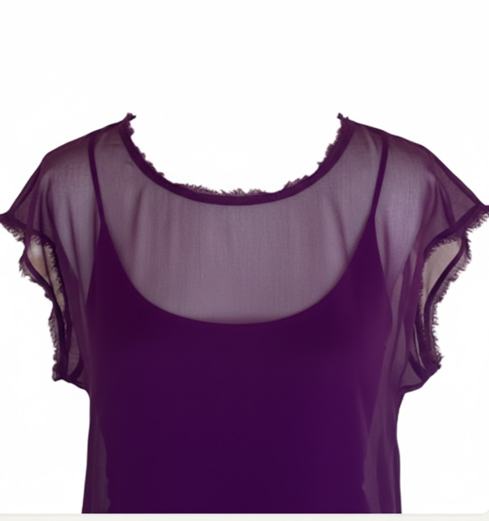 Lanvin Cotton T-Shirt – Sheer Detail, Double Layer, Shoulder Zipper, Unworn